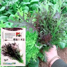 �Ͼ�ˮ�˷N����ˮ���˷N�����Ұ���ļ�ԭ�b�߮a�߲˷N�Ӵ�ȫ���l