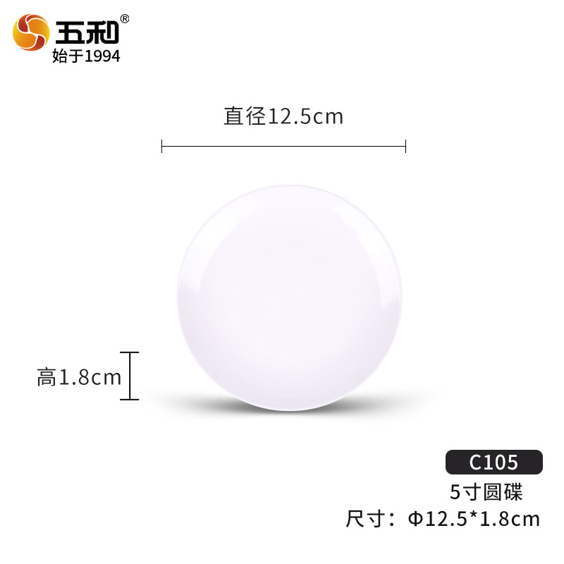 5 인치 디스크 C105