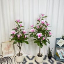 ������ط������m������ʽ�Ҿ�ܛ�b�҃ȿ͏d����쾰�bGֲ��ˇ