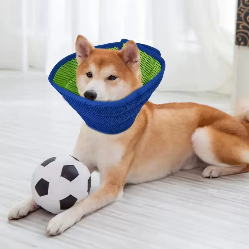 Трансграничные домашние животные Elizabeth Circle Кошки и собаки анти-укусы