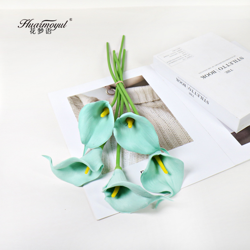 칼라 릴리-스카이블루(노란색 코어)