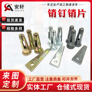 �N��NƬ�N�Xģ����� ��\���Č����Nᔎ����NƬ �XĤ�o���N�