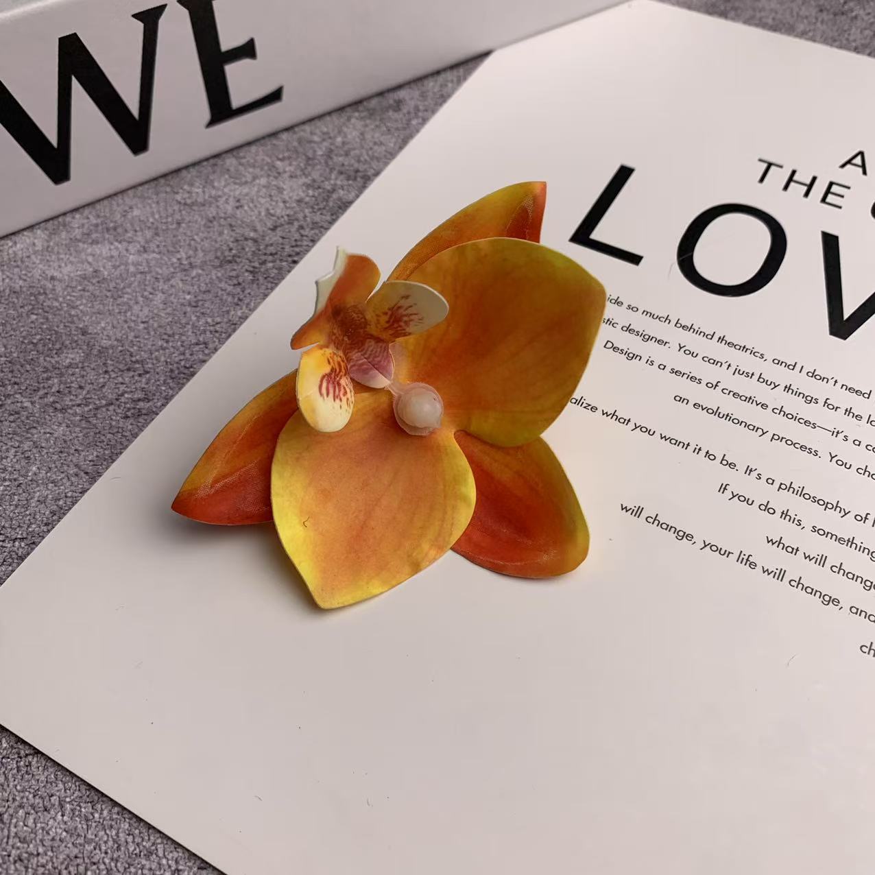 미니 호접란 꽃잎 노란색 2