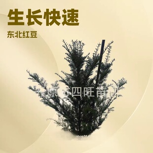 2026�|�����Թ��� �|���t��ɼ ��С�糣�G��ľռ�ؘ�Ҏ���Rȫ