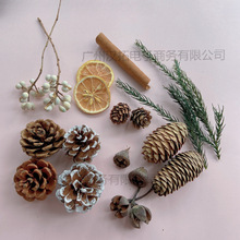 �ɹ���޹�U�㱭�����ɹ��ɻ��}�Q�b�DIY�Ĕz������Ȼ�ֹ��M��