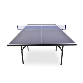 羽毛球;乒乓球台