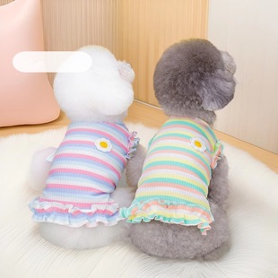 Cat Clothes, Pet Clothes, Dog Clothes, Pet Clothes, Pet Skirts, Colorful Striped Flower Vests, Summer Clothes