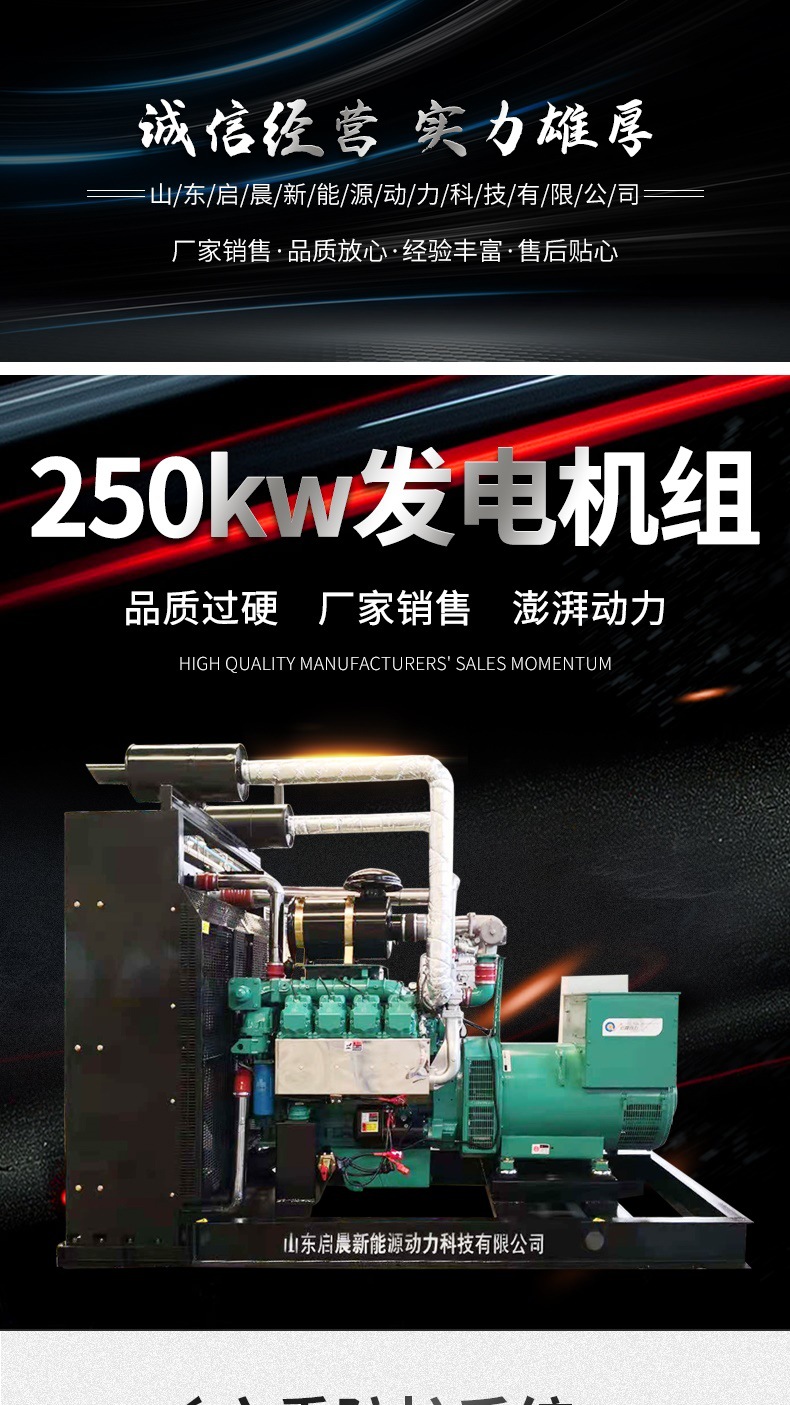 250kw发电机组详情套版_001