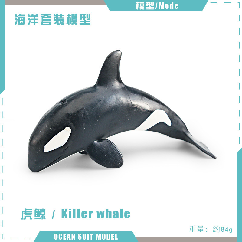 Transfronteriza simulación animal marino modelo rompecabezas cognitivo asesino ballena morsa nutria perro de mar escritorio estática decoración juguete