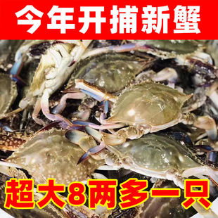 �ش�̖��ɽ����з�r��������r�����з��з��ĸз���rһ�����]