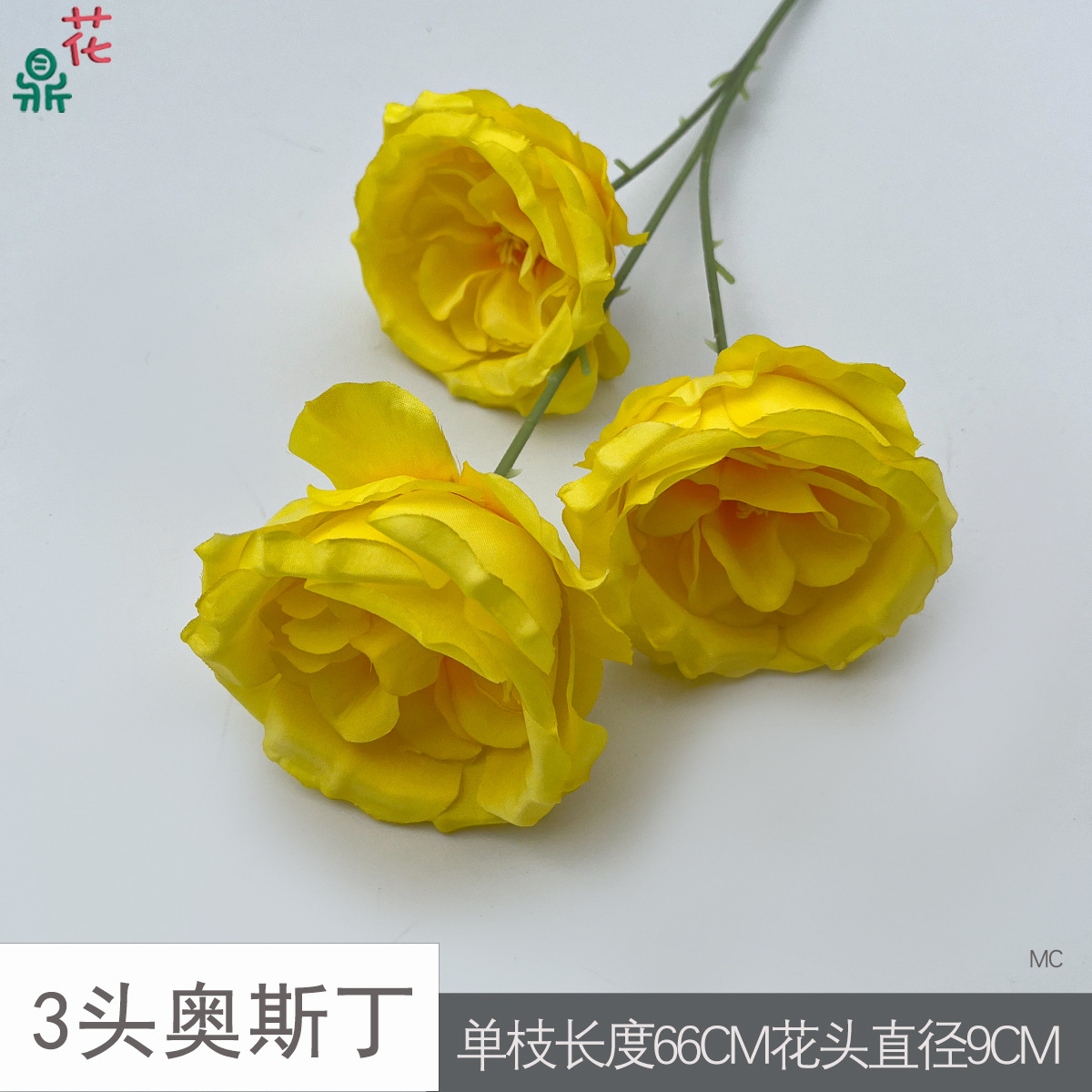 Austin MC 3 đầu màu vàng