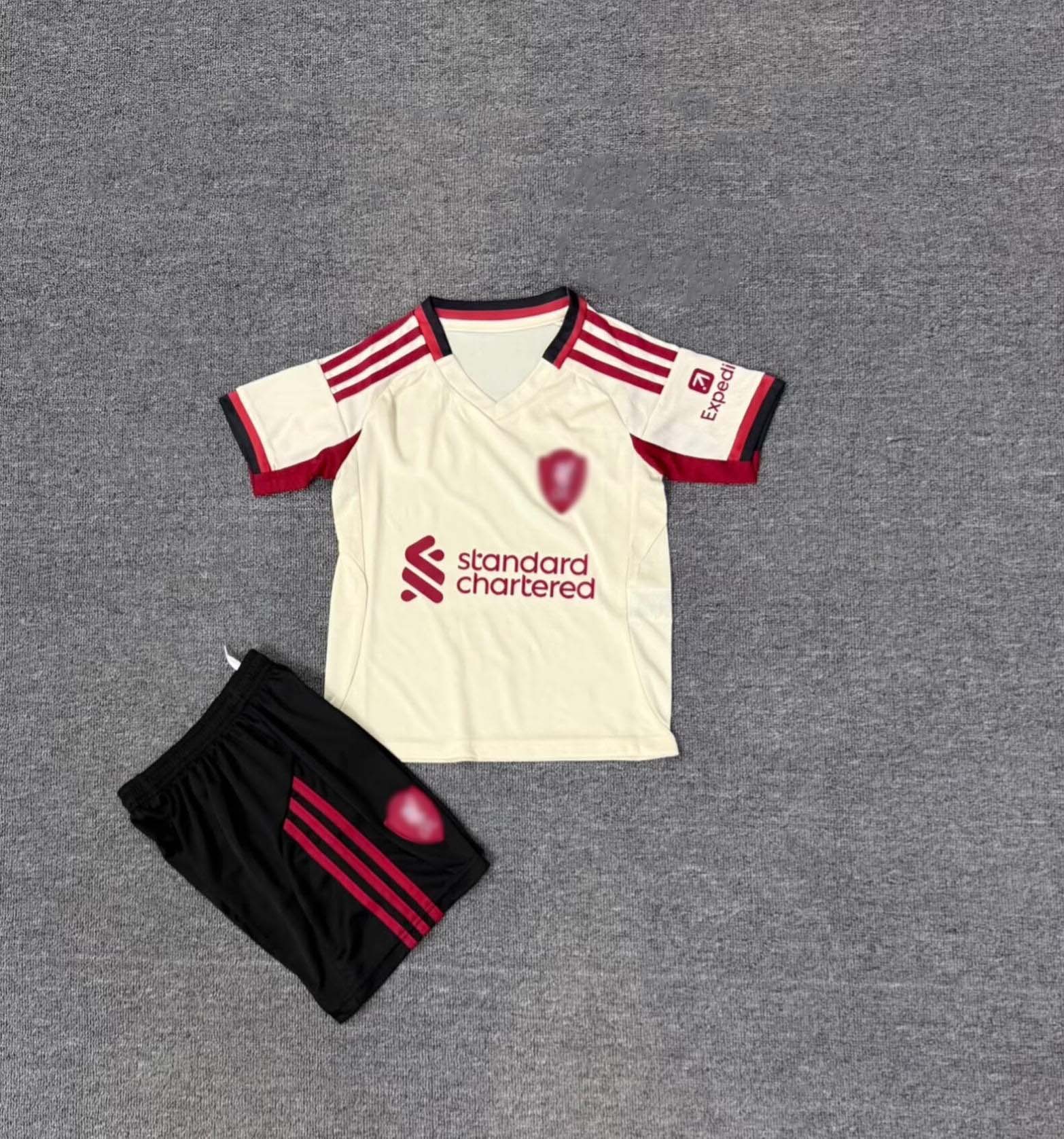 2526 간 P 게스트 라이스 화이트