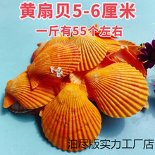 �S��ֱ�N��Ȼ����ؐ�����Sɫ��ؐ��΢���^�~����Ӱ�����[�