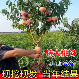 �޽��ش�ˮ���Ҙ��玧�������Ҙ���綬���S�������Ե����ϱ����N