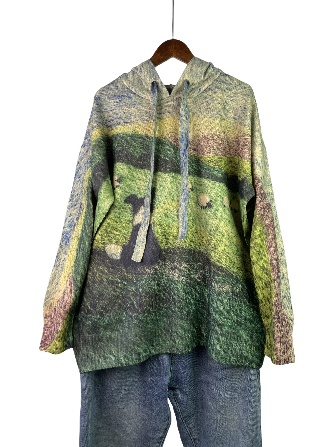 plus size Women's Casual Long Sleeve Pullover Hooded Sweater Animal Pattern Fashion Color Coat Autumn and Winter New