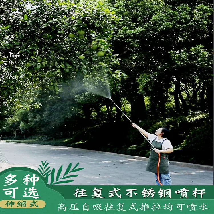 喷雾器庭院长杆水枪农用打药消毒高压喷枪果树喷雾机植保打药机