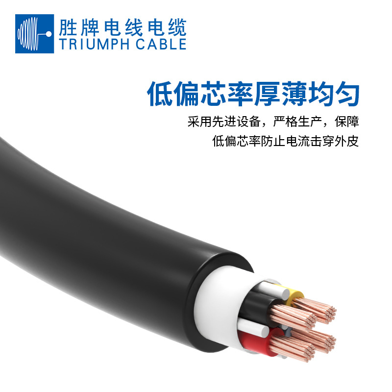 东莞胜牌厂家  UL2501 12AWG 10AWG 电子多芯护套线 耐温耐压600V