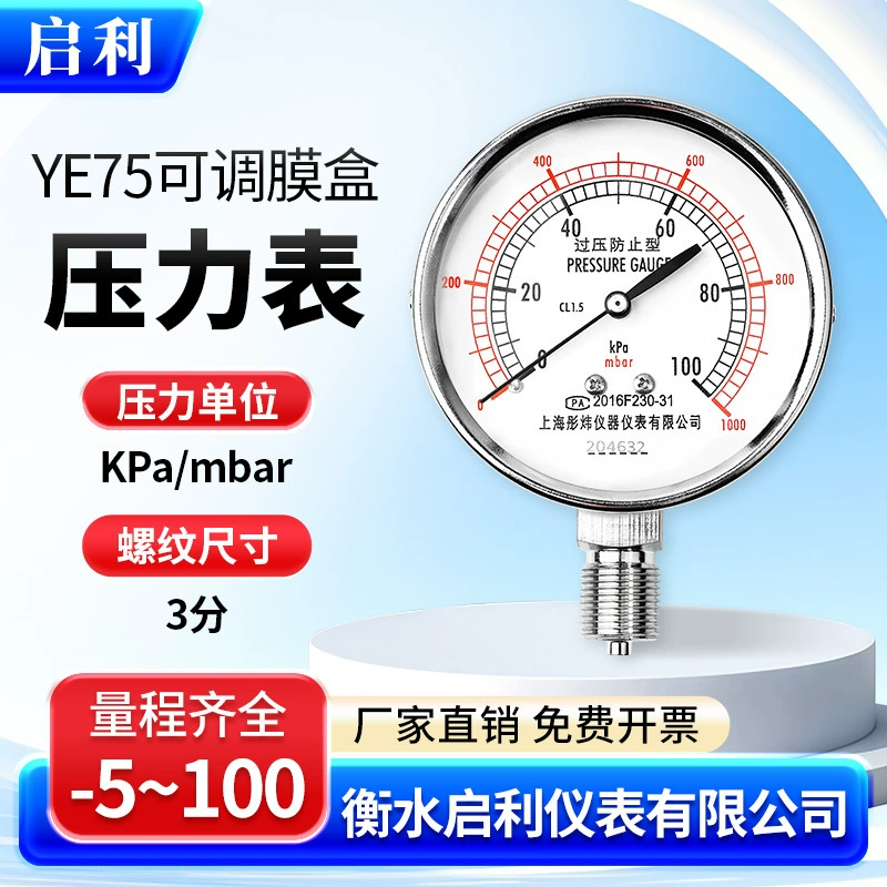 Qili [YE75 мембранный картридж манометр 0-40KPa] Микроманометр для предотвращения перенапряжения для измерения давления природного газа