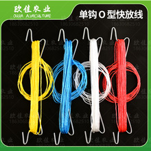 ����O�Ϳ����侀���ѵ����h�S�������h�������������J���ϵ����h