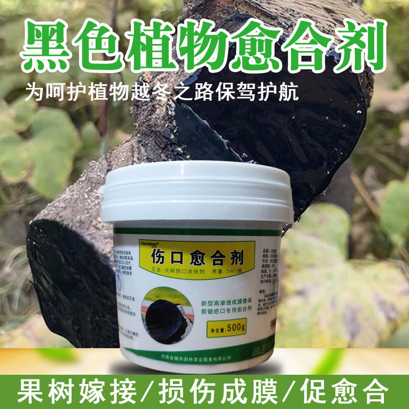 블랙 500g/병