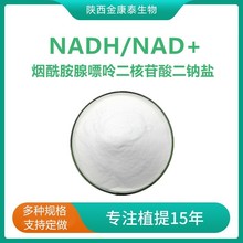 NADH99%还原型烟酰胺腺嘌呤二核苷酸二钠盐NAD+还原型辅酶Ⅰ 10克