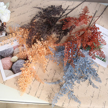 ���滨�L֦�۲��~��c·�������ϻ��Ҿӻ�ƿ�廨��̨�[����ؼٻ�