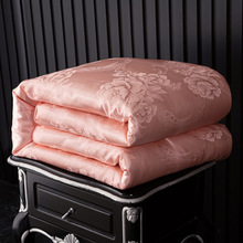 单人学生蚕丝被夏凉被子双人家用秋被冬被四季被二合一子母被芯