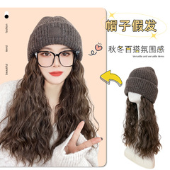 Hat wig women's detachable long hair new autumn and winter knitted wool hat one-piece full head cover wig hat cold hat