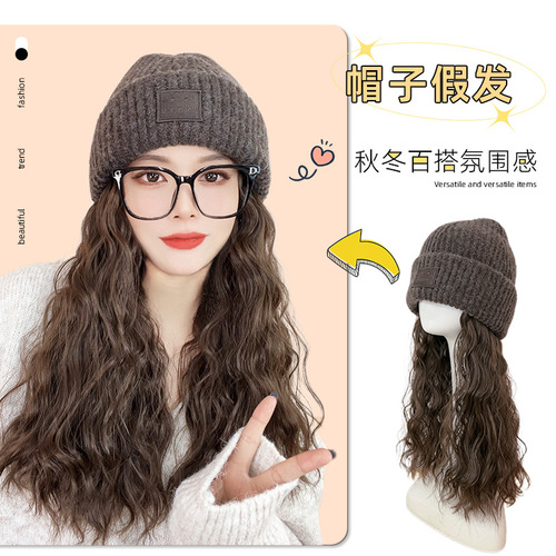 Hat wig women's detachable long hair new autumn and winter knitted wool hat one-piece full head cover wig hat cold hat