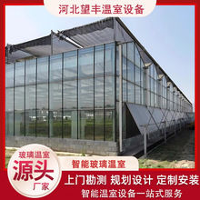 大棚农业智能温室玻璃连栋大棚蔬菜大棚钢骨架保温棚连体玻璃溫室
