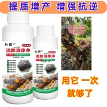 果园流胶净病专用桃树李子黄瓜杏树活菌穿孔病果树流胶杀菌通用肥