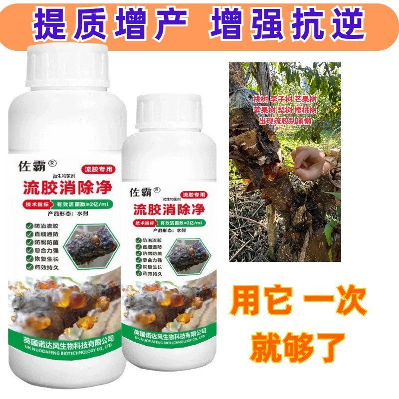 果园流胶净病专用桃树李子黄瓜杏树活菌穿孔病果树流胶杀菌通用肥