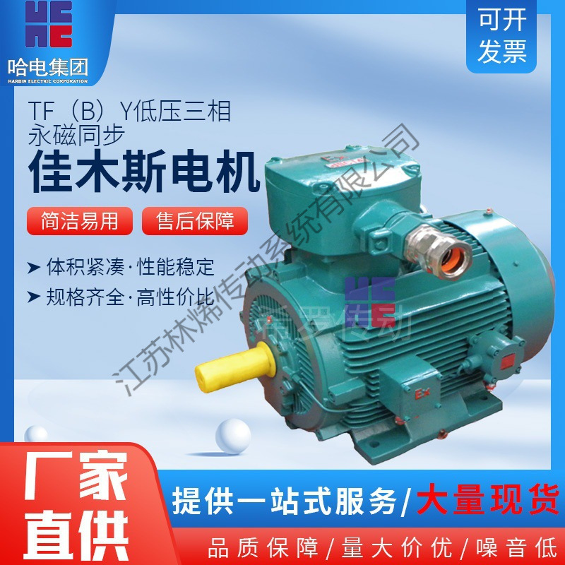 佳木斯电机马达TF（B）Y低压隔爆型三相永磁同步发电机1.5kw2.2kw