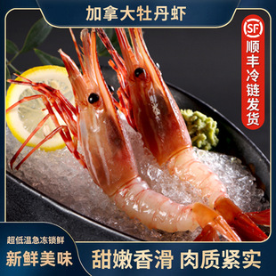 ���ô�ĵ���r�F؛���l���ϴ����r������r����r��������r����