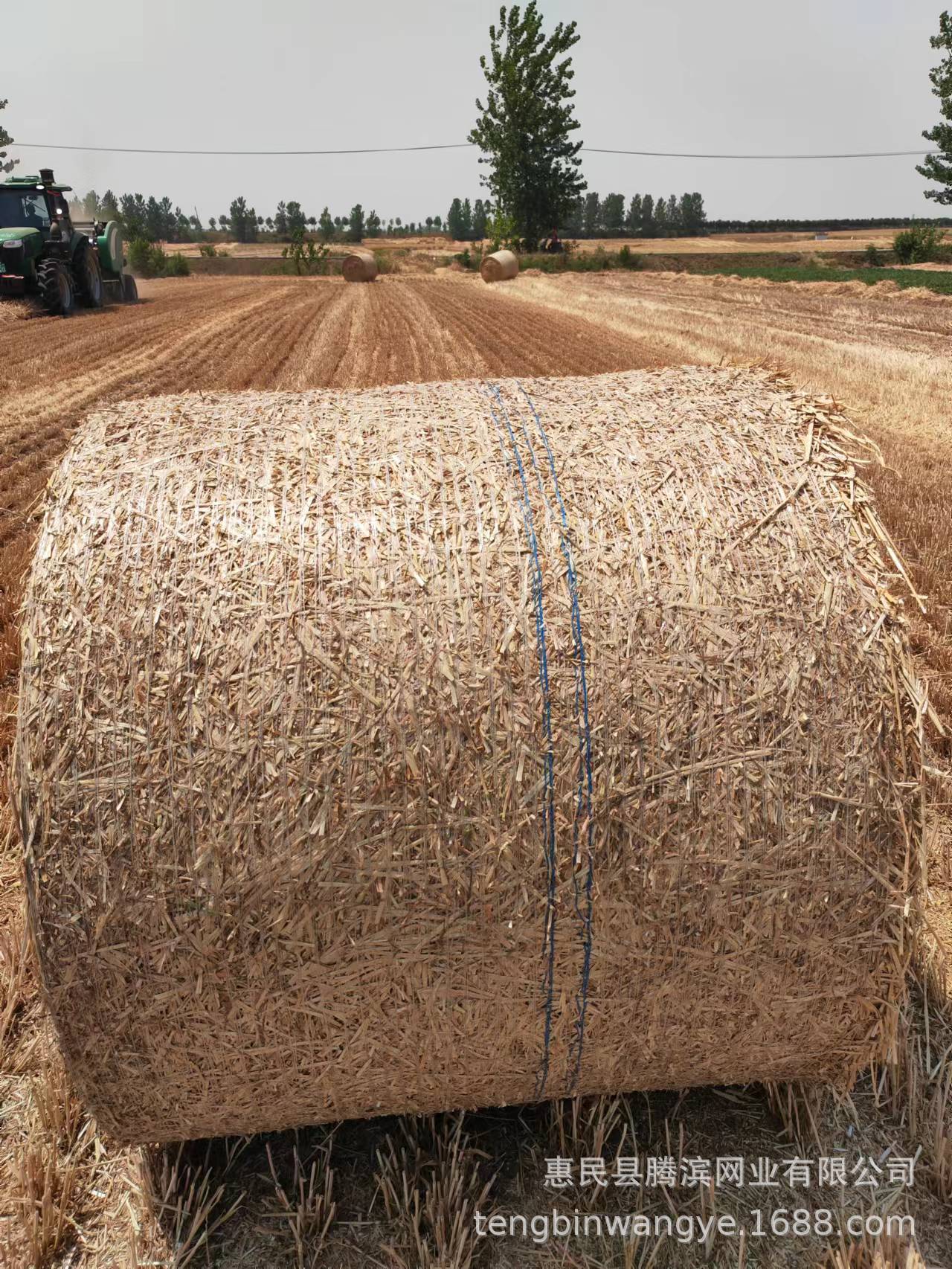 3668a68c813a0052be9569beba60c4