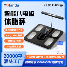 �˵缫��֬���������سӾ�����������Ǽ������سӾ�׼���ӳӿ羳