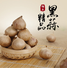 现货出售山东黑蒜  独头黑蒜 500克瓶装 发酵黑大蒜