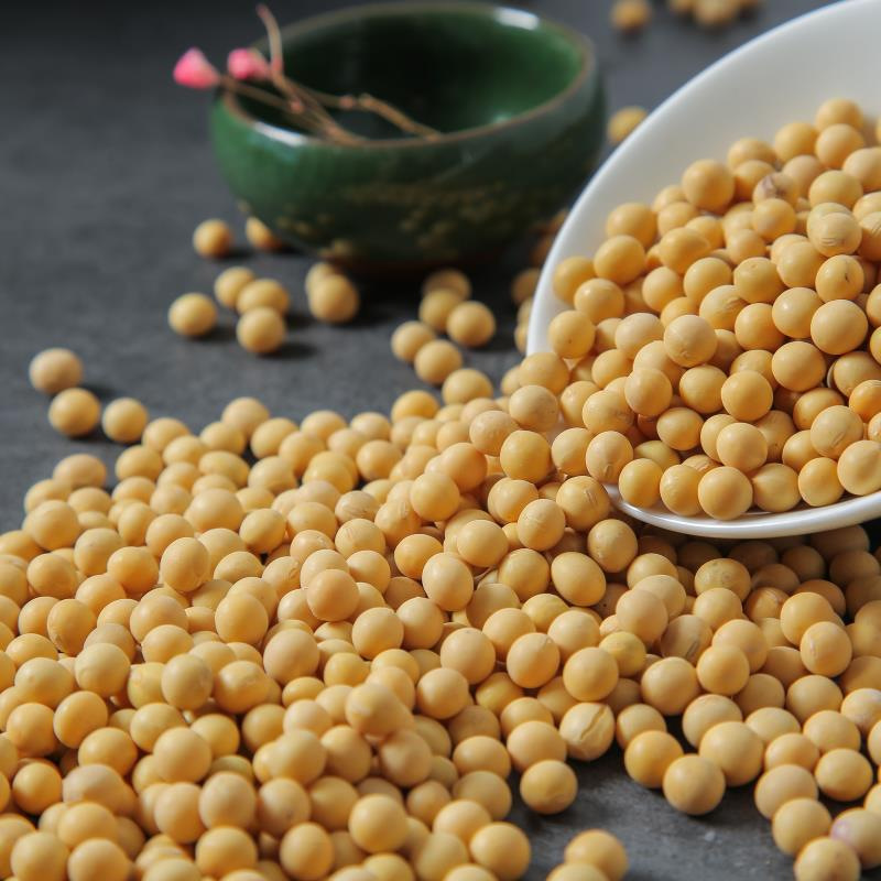 Authentic Fresh Seasonal Products from Northeast China, Special Farm-Grown Soybeans for Making Soy Milk
