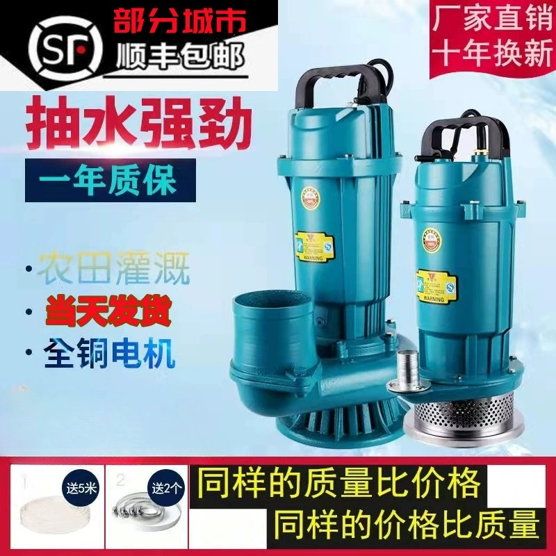 Сельскохозяйственный ирригационный 220В рыбный пруд небольшой водолазный насос 2,5 дюйма 3 дюйма 4 дюйма 1 канализационный насос большой расход