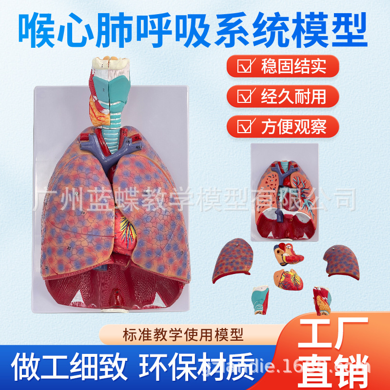 ��Ȼ��������ķ�ģ�ͺ�����״�ٷ�����ģ�ͺ���ϵͳ�β��������