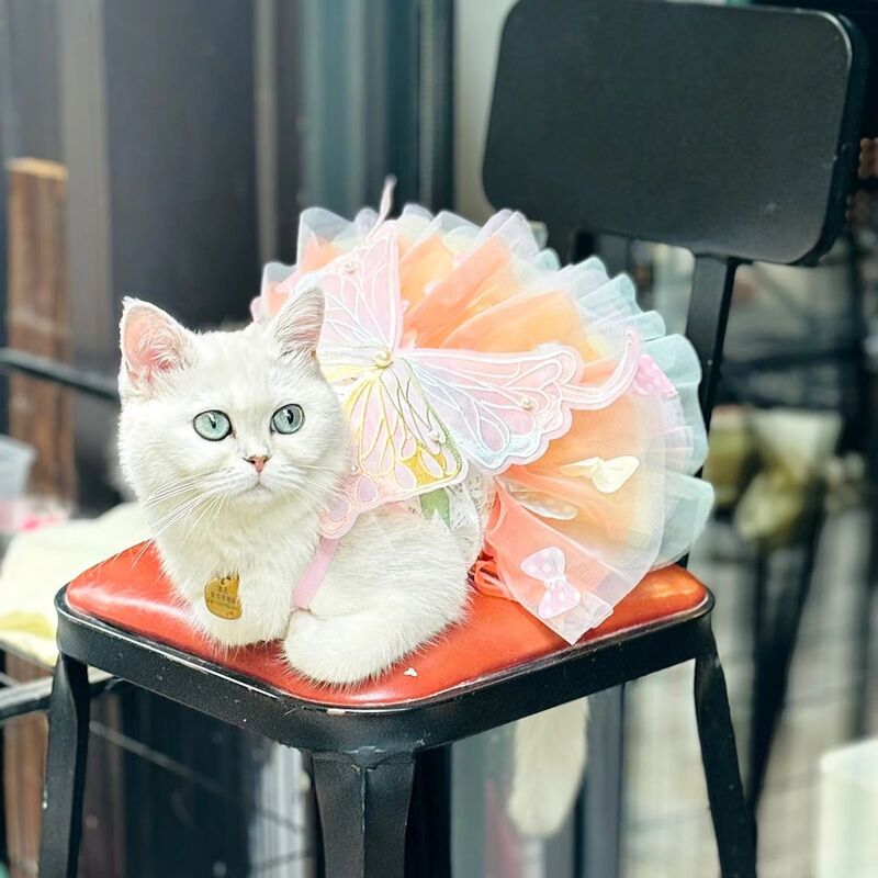 犬服夏薄い猫プリンセスドレス虹蝶チュチュスカートペット服ドレス用品|undefined