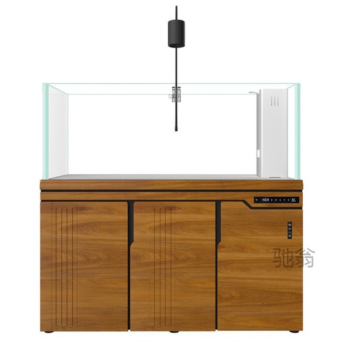 Luo Xi Stream Aquarium Fish Tank Large Living Room Home New Ultra White Glass Original Ecosystem Landscape Filtered Grass Tank