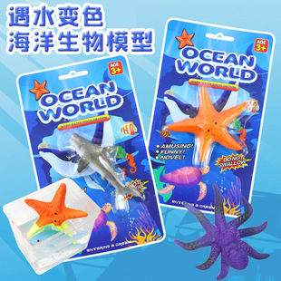 Bubble water color changing simulation marine animal toy model starfish shark dolphin creative warm water color changing toy wholesale