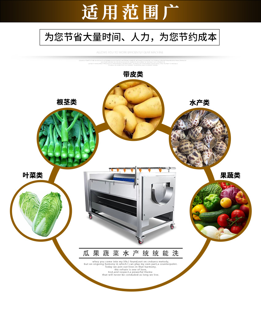 毛刷清洗機_06.jpg