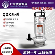 �㶫��������Ǳˮ��QDX�ʹ���������̳�ˮ��220Vũ������ˮ��