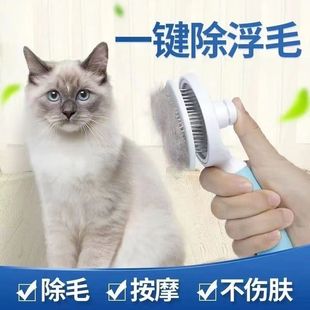 ؈����ë�ṷë؈ë������ȥ��ë̩�ϱ����������ϴ�茙����Ʒ