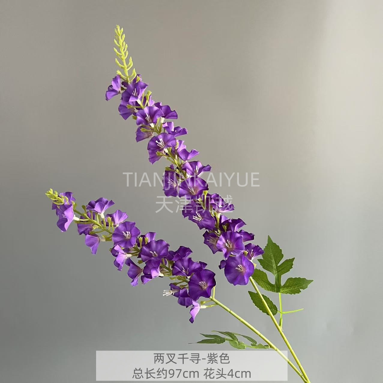 보라