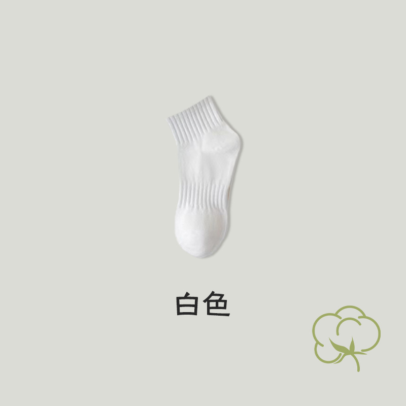 하얀색