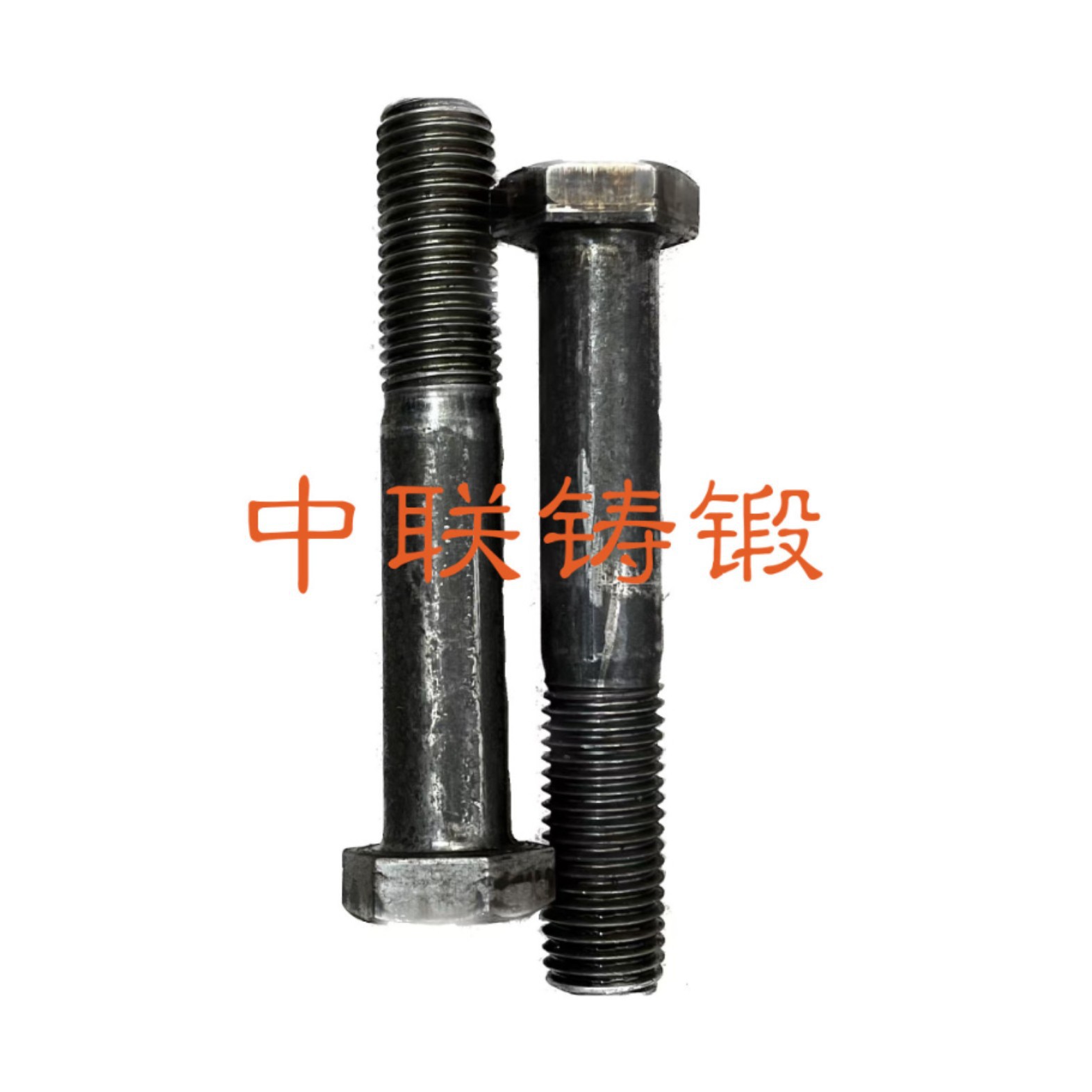 2025-03-22 08:39:31.jpg