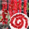 New 2 -meter flower skewers 2 big red
